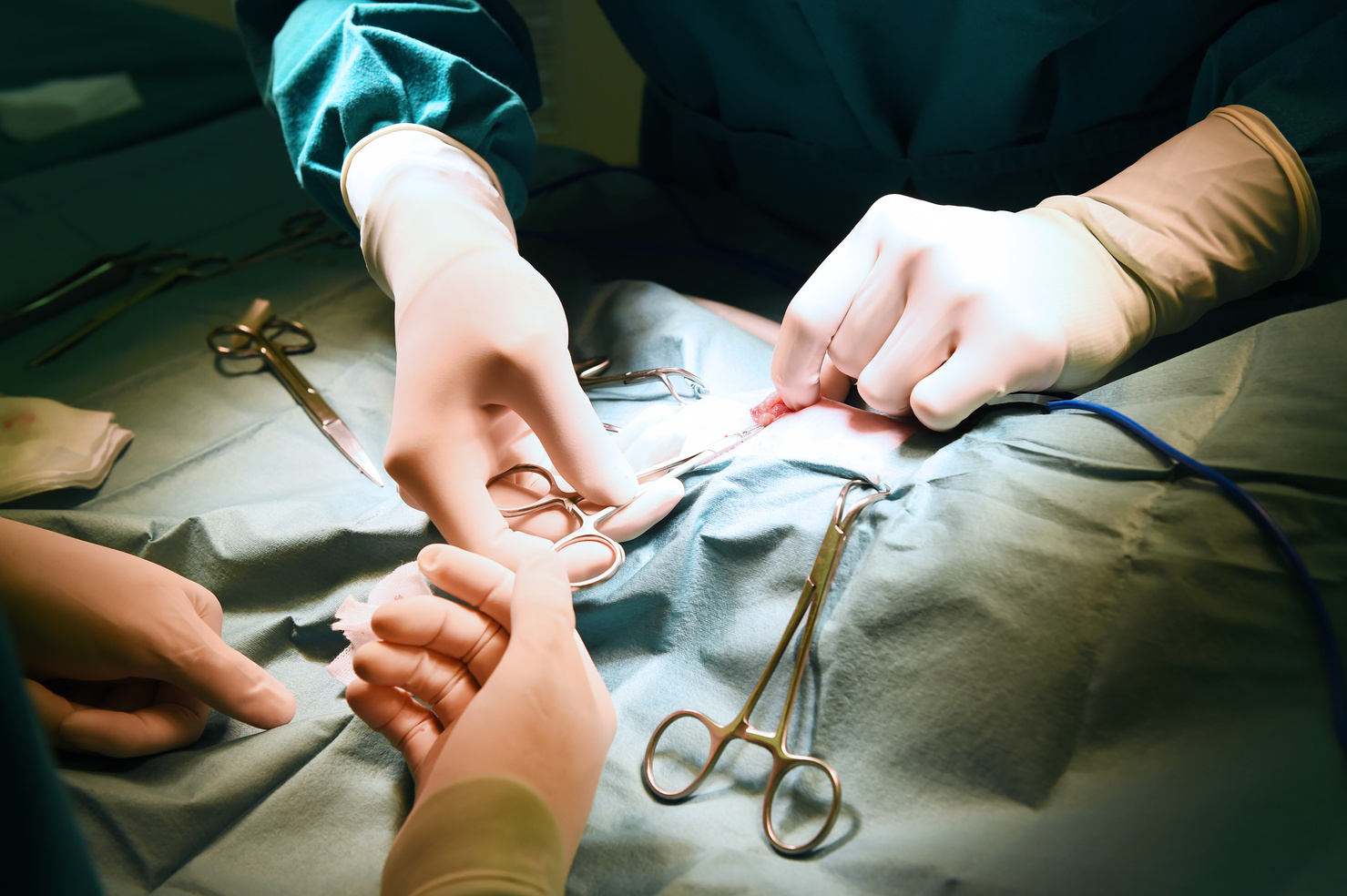 veterinarian surgery